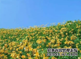 天富平台背景, 天富能赚多少钱,