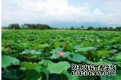 <b>塑料薄膜凹版印刷着墨不牢原因天富开放平台</b>