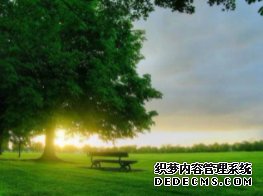 天富能赚多少钱, 天富平台导航,